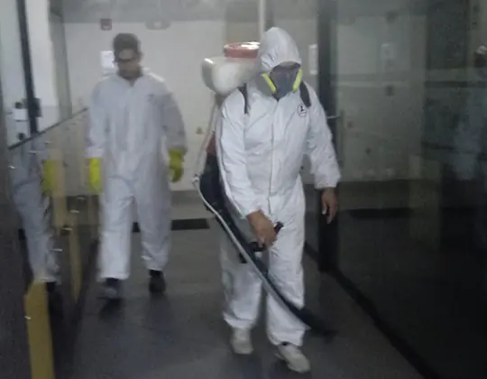 Fumigación y desinfección